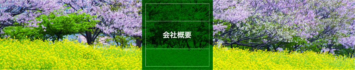 会社概要
